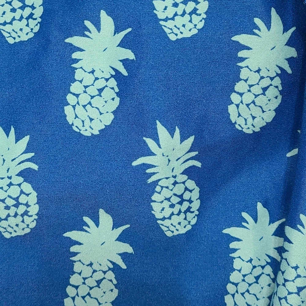 Hollister large swim trunks 🍍pineapples‎ LARGE